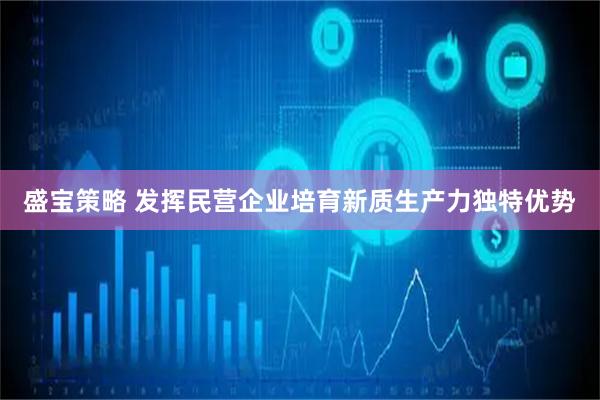 盛宝策略 发挥民营企业培育新质生产力独特优势